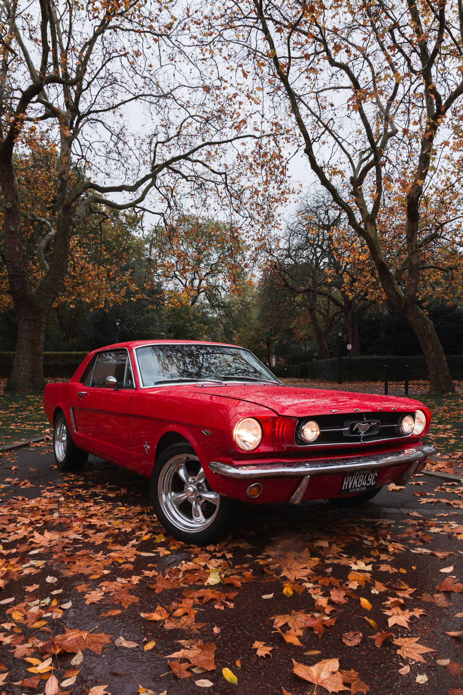 A red classic Ford Mustang coupe